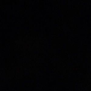 Meet your Posher, Lillian